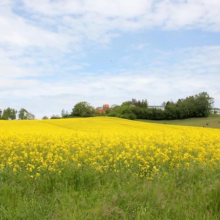 Mit Meerblick Und Balkon, Gratis Nutzung Vom Ahoi Erlebnisbad Und Sauna In Sellin - Meeresblick Fewo 14 Goehren  Eksteriør bilde